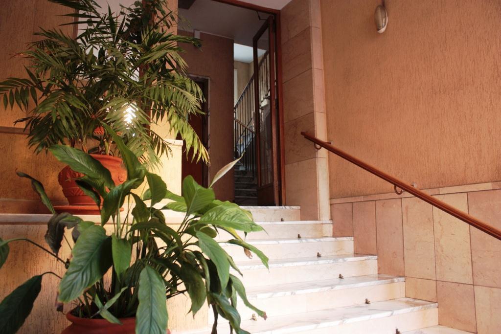 Sweet Dreams In St Peter B&B Rome Exterior photo